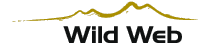 Wildweb Soluzioni internet e grafica pubblicitaria